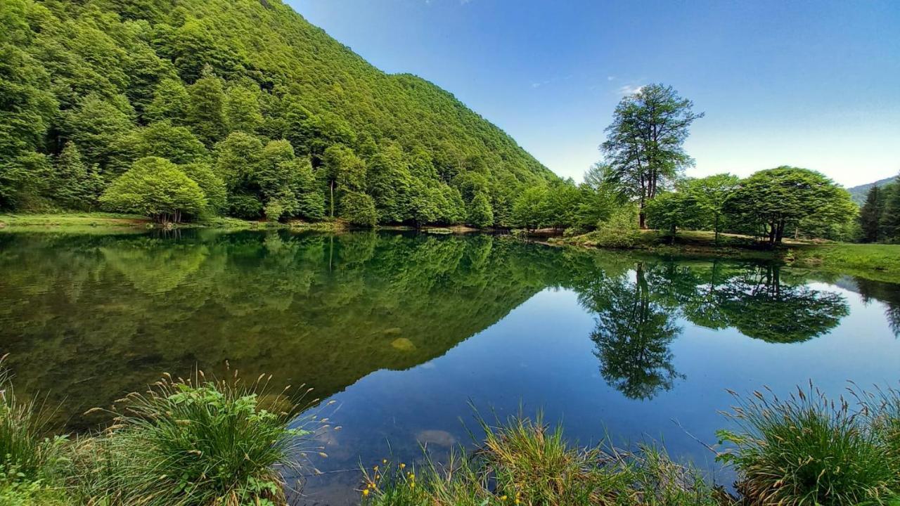 Le Jardin De Moulis, Saint Girons, Ariege, Pyrenees, Panzió Kültér fotó