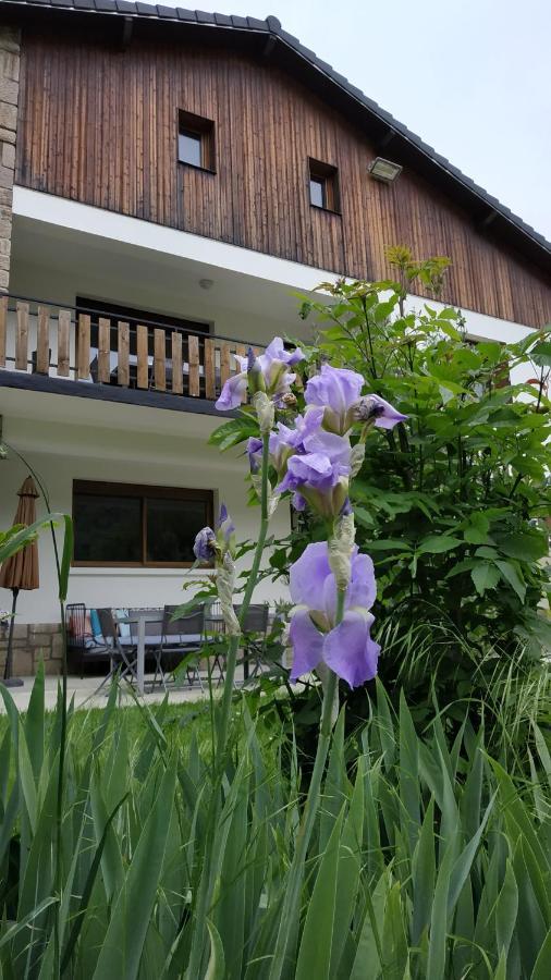 Le Jardin De Moulis, Saint Girons, Ariege, Pyrenees, Panzió Kültér fotó