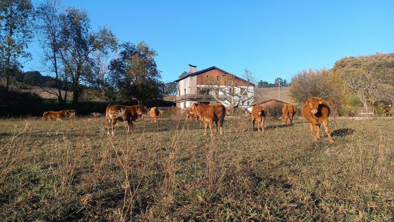 Le Jardin De Moulis, Saint Girons, Ariege, Pyrenees, Panzió Kültér fotó